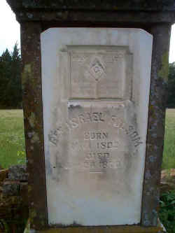 folsomi2.jpg (24760 bytes)