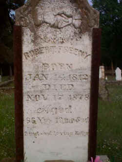 freenyr.jpg (28948 bytes)