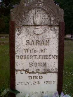 freenys.jpg (31994 bytes)