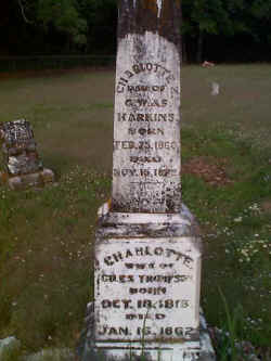 harkins2.jpg (33030 bytes)