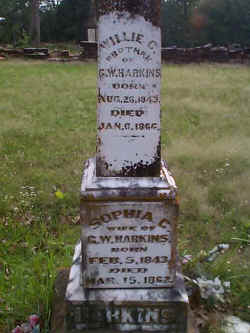 harkins3.jpg (36265 bytes)