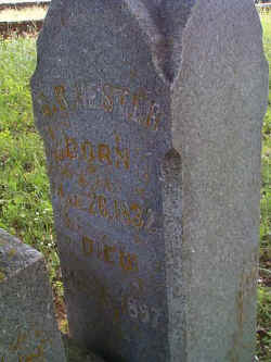 hestergb1.jpg (38579 bytes)