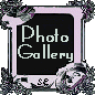 photo gallery logo