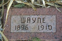 Wayne