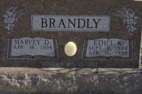 Brandly