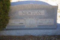 Newton