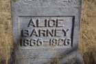 Alice Barney alicebarney_small.jpg
