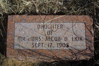 daughterofmrandmrsjacobdlink.jpg