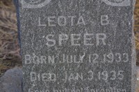 Speer