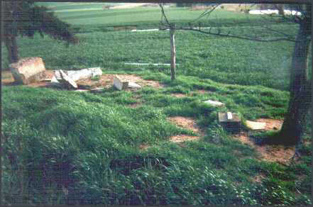 Riley cemetery vandalism