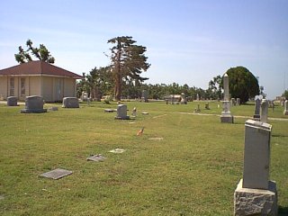 Image35.jpg (20447 bytes)