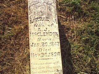 Image5.jpg (38590 bytes)