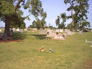 Image75.jpg (29315 bytes)