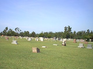 Image82.jpg (17063 bytes)