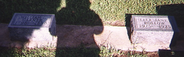 01wyn013.gif (103623 bytes)