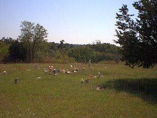 dixonchapel3.jpg (18081 bytes)