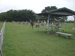 erinsprings3.jpg (17793 bytes)