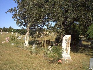 Image56.jpg (33092 bytes)