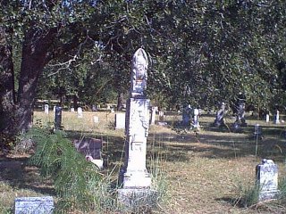 Image57.jpg (36927 bytes)