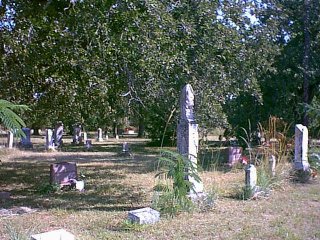 Image59.jpg (37831 bytes)