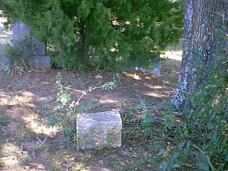 Image84.jpg (32220 bytes)