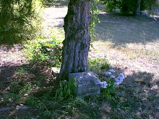 Image85.jpg (34146 bytes)