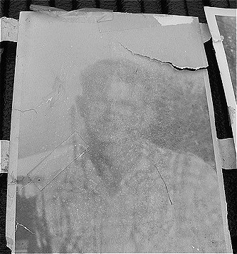 berry.jpg (42374 bytes)