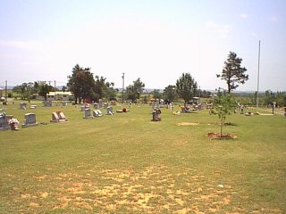 katie25.jpg (19562 bytes)