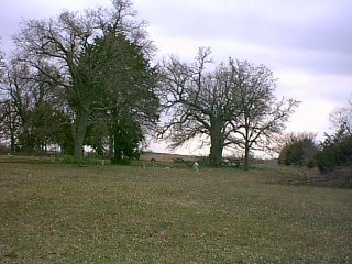 klondike6.jpg (25359 bytes)