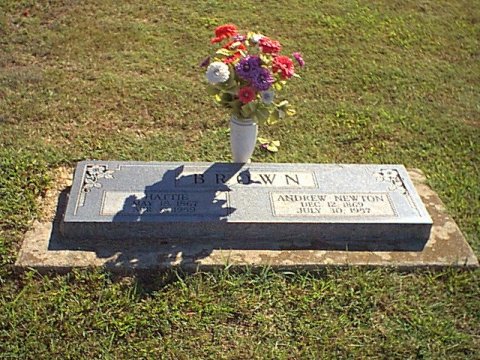 brown3.jpg (71738 bytes)