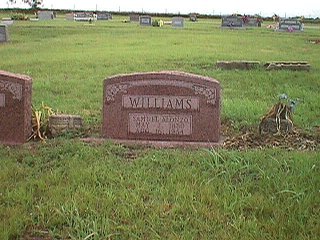 mcgee9.jpg (28547 bytes)