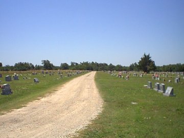 mcgeemain2.jpg (17549 bytes)