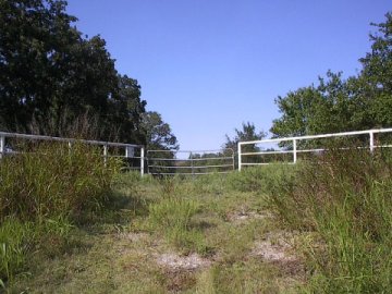 oldpurdygate.jpg
        (29435 bytes)