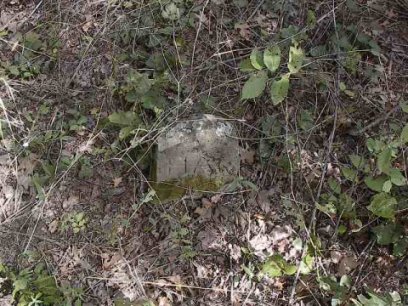 purdy10.jpg (54415 bytes)