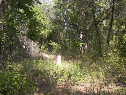 purdy3.jpg (55339 bytes)