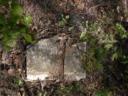 purdy8.jpg (60368 bytes)