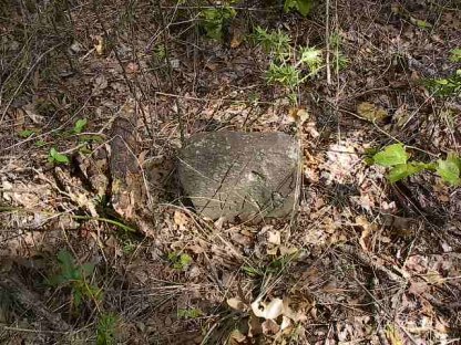 purdy9.jpg (65425 bytes)