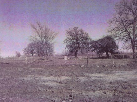 redbluff.jpg (37563 bytes)