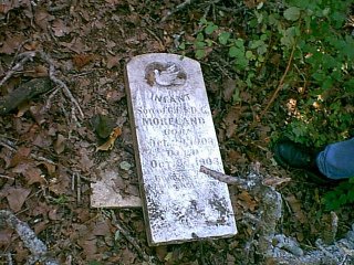 Oklahoma family trees