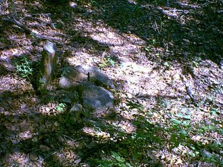 Oklahoma family trees