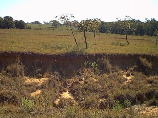 Oklahoma family trees