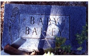 baileybaby.jpg (19051 bytes)