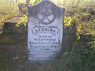 stroudsebrina.jpg (29065 bytes)