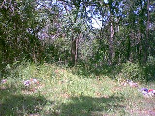 sandyhill3.jpg (40006 bytes)