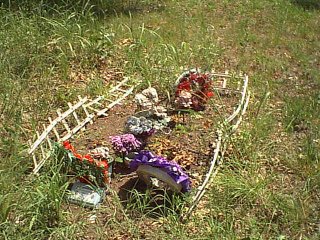 sandyhill5.jpg (40693 bytes)