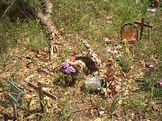 sandyhill6.jpg (43756 bytes)