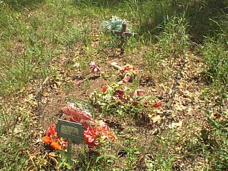 sandyhill7.jpg (43352 bytes)