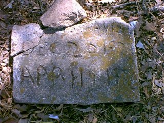 davis1.jpg (35112 bytes)