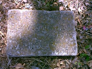 davis2.jpg (36871 bytes)