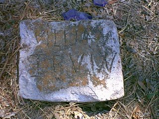 irwin.jpg (35680 bytes)